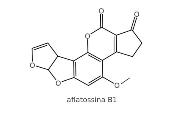struttura di aflatossina B1