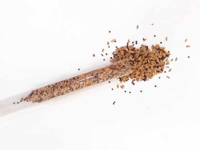 Analisi di deossinivanelolo