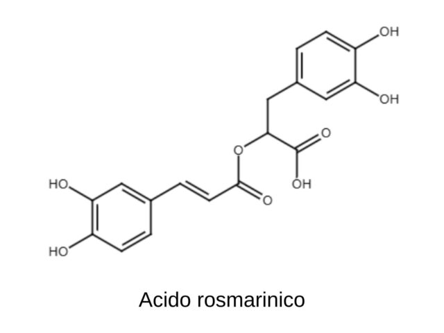 Acido rosmarinico: caratteristiche, proprietà e analisi